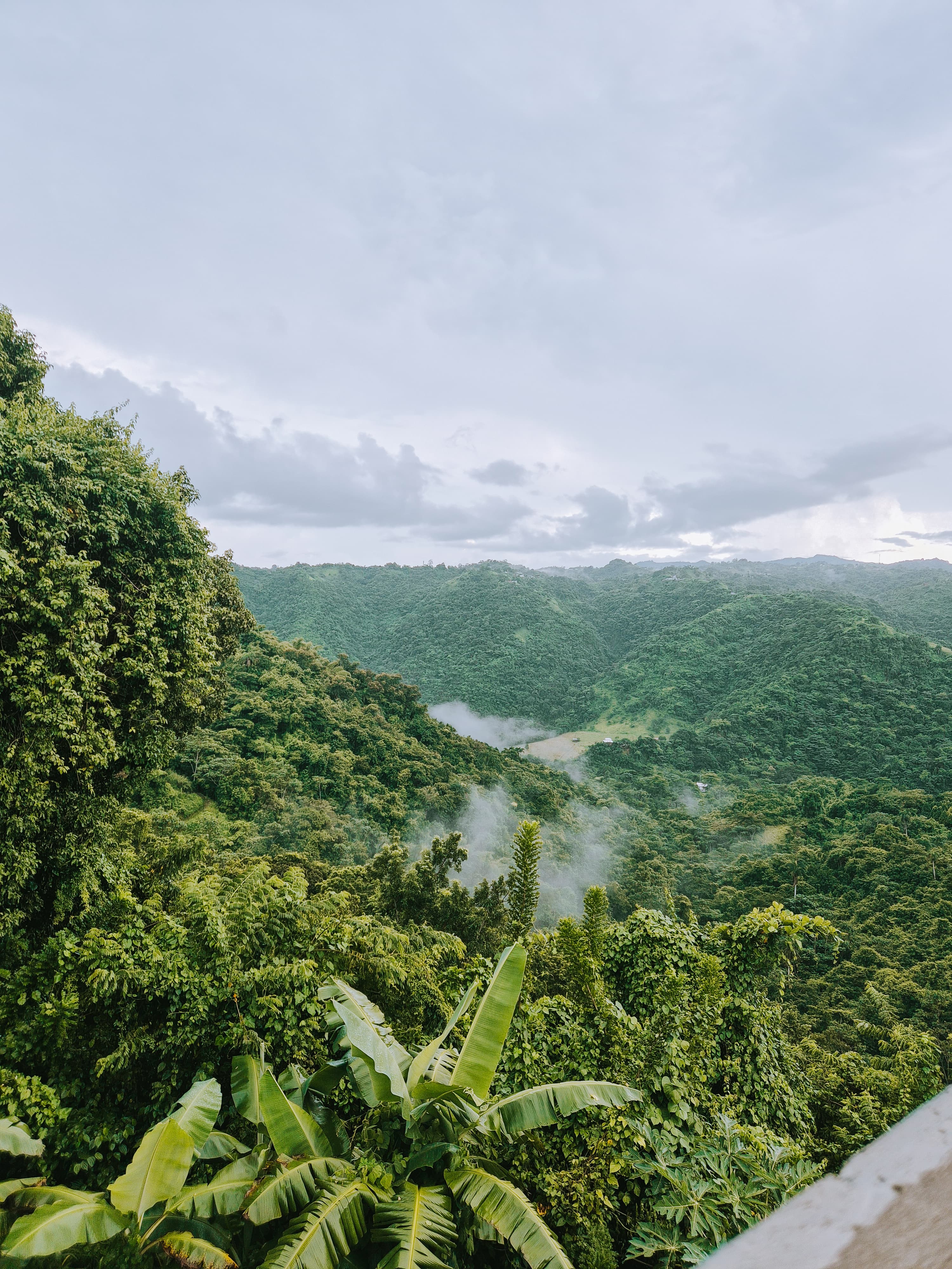 Ruta Ciales